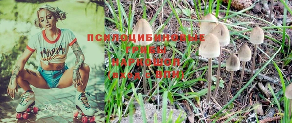 МДПВ Верея