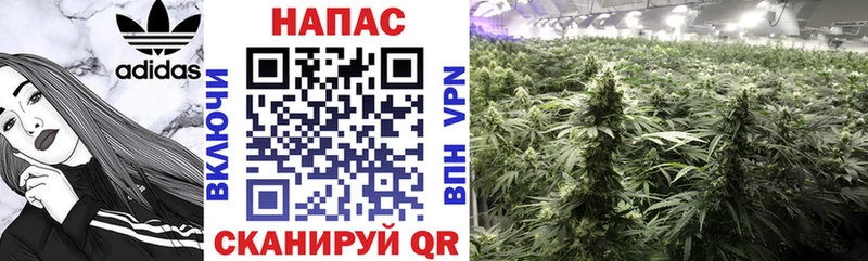 Конопля LSD WEED  купить закладку  Канск 